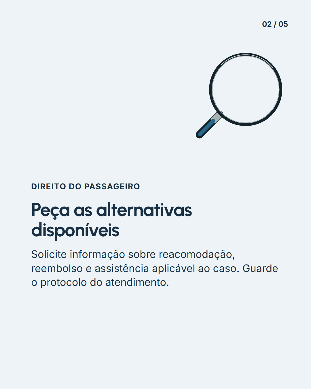 Explicação na lupa: Miolo 1
